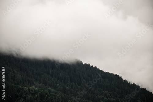 Cloud covered forest in the Austrian Alps