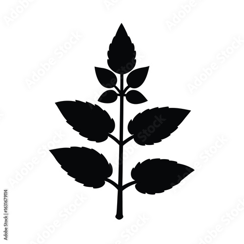 Diwali vector art of black silhouette of a plant stem with leaves, isolated