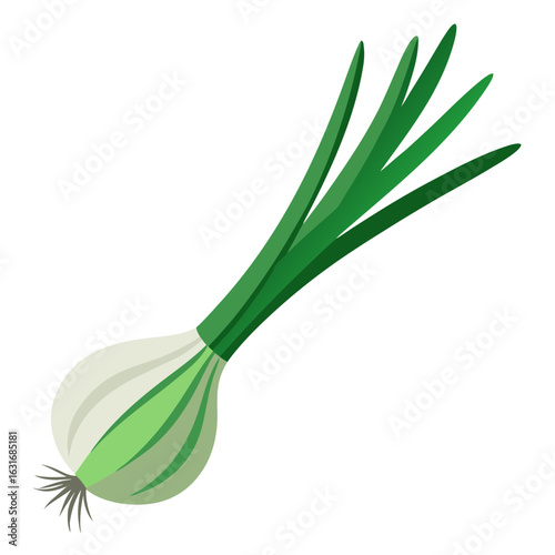 a green onion (scallion) showing the white bulb base with small roots, no background vector file.