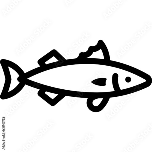 Fresh Mackerel Fish