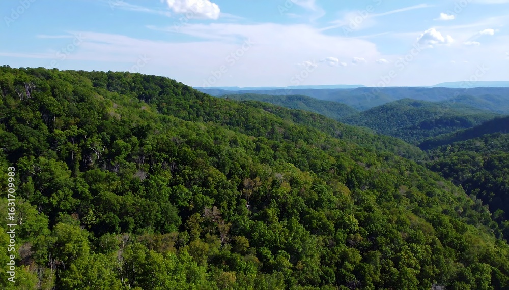 Lush mountain range Lush mountain range