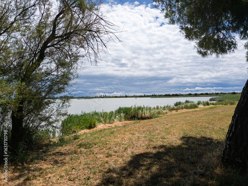 Принти на полотні Marano Lagoon View from Aprilia Marittima - Sunny Landscape with Trees and Cloud