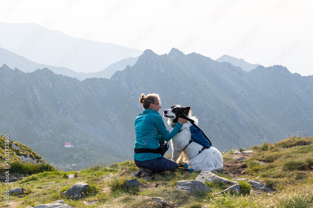 Fototapeta premium trekking with a dog in hogh mountains