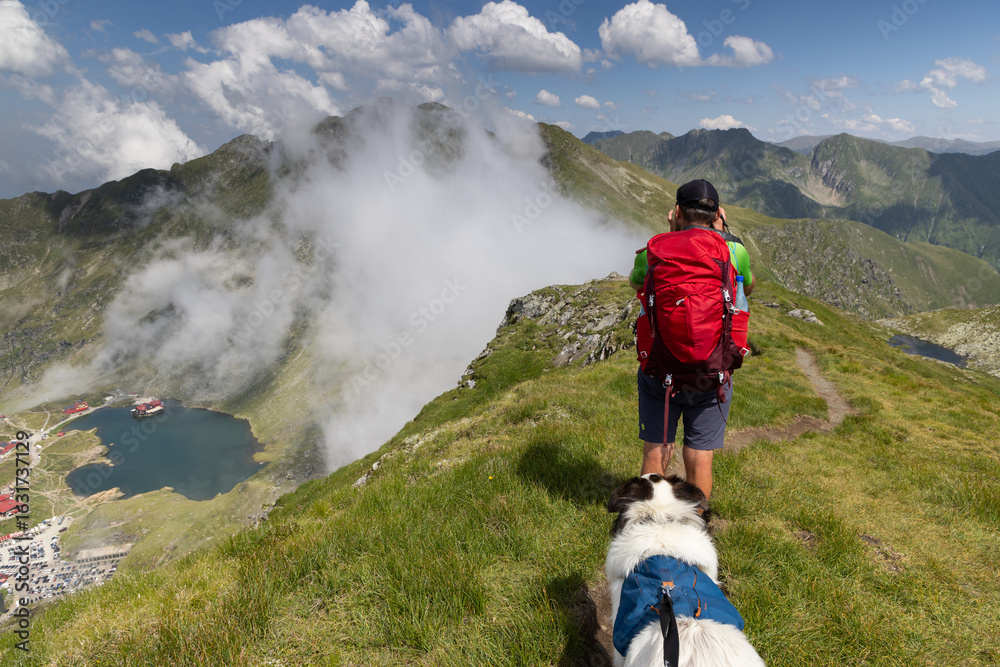 Obraz premium trekking with a dog in hogh mountains