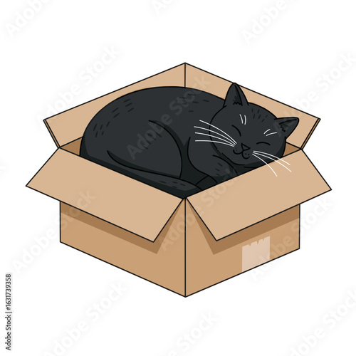 A cozy black cat peacefully sleeping in a cardboard box against a simple background
