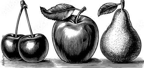 Vintage engraved illustration set of cherry, apple, and pear - retro fruit art design for prints and posters