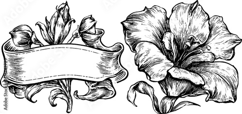 Vintage engraved floral illustration of hand drawn flowers with banner design for card or poster