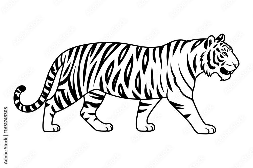 Naklejka premium Illustration of a bengal tiger with black stripes walking from left to right on a white background