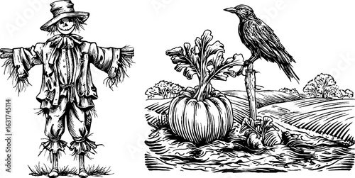 Engraved hand-drawn illustration set of scarecrow and carrot with rural landscape scene