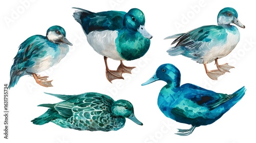 Duck from a splash of watercolor, colored drawing, realistic. Vector illustration of paints