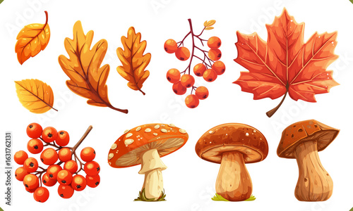 Autumn vector set with mushrooms, maple leaves, acorns, and berries. Bright cartoon illustration in warm fall colors on a clean white background
