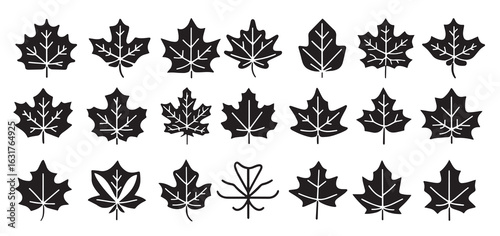 Leaf silhouette Designs Minimalist Sleek Style