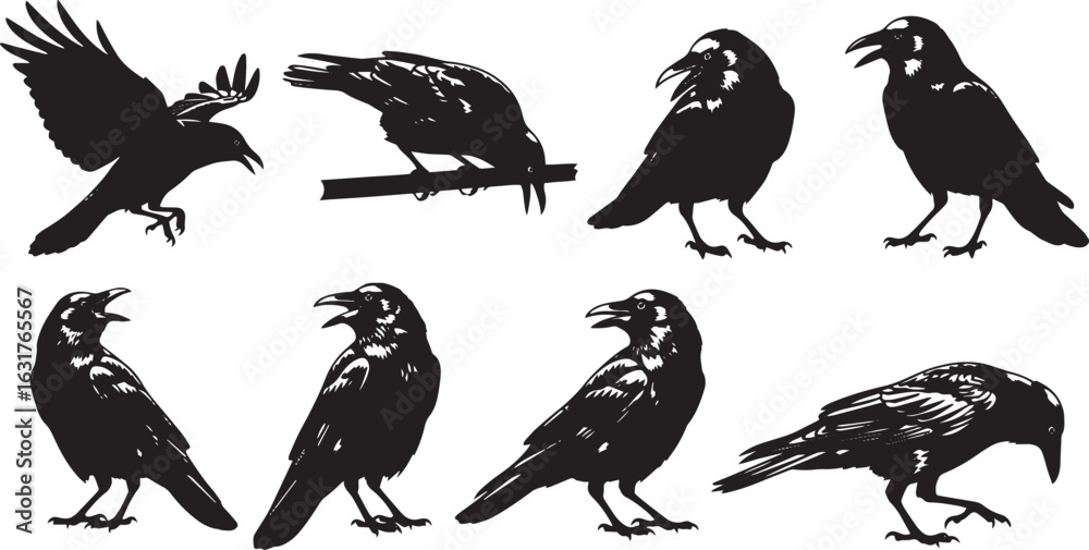 Obraz premium Crow Silhouettes