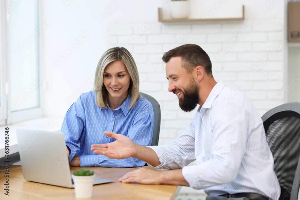 Fototapeta premium Smiling business partners working with laptop at table in office