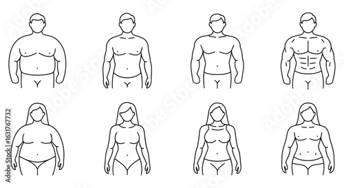 Male and female body types fitness weight
