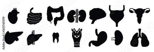 collection of silhouette illustrations of human organ