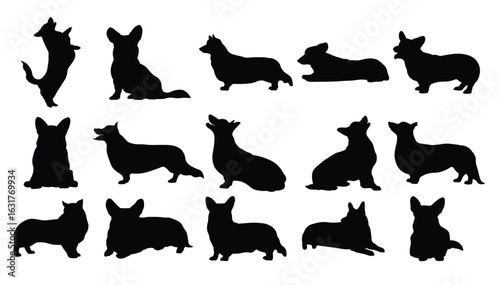 corgi dog silhouette illustration set