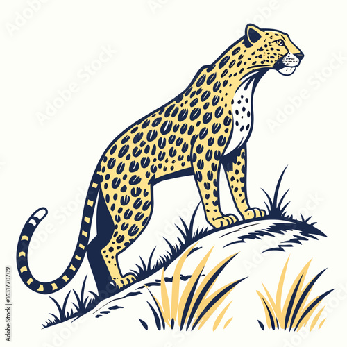 Leopard standing on a grassy hill, looking alert