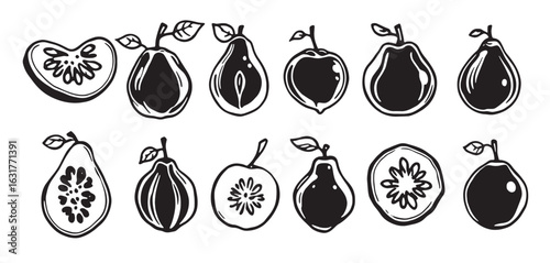  fruit icons set vector