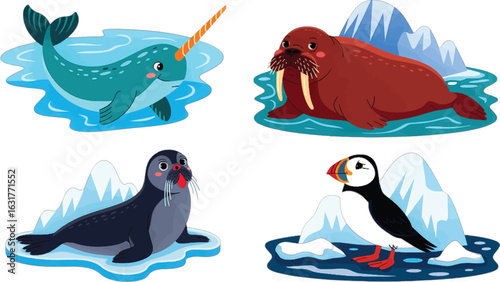 Arctic animals narwhal walrus seal and puffin on ice floes arctic ocean bird