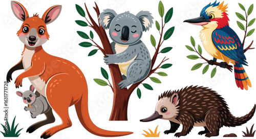 Australian animals kangaroo koala kookaburra and echidna in nature vector illustration