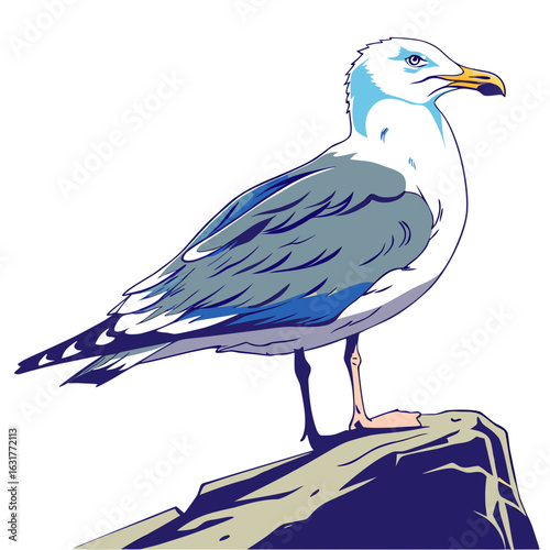 Seagull standing on a rock isolated on white background