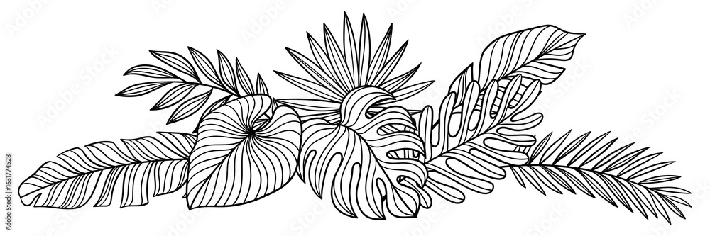 Obraz premium Design with linear palm leaves. Decorative image of tropical foliage and plants.