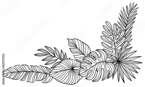 Corner with linear palm leaves. Decorative image of tropical foliage and plants.