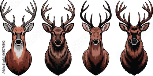 Deer Heads with Antlers Illustration Set