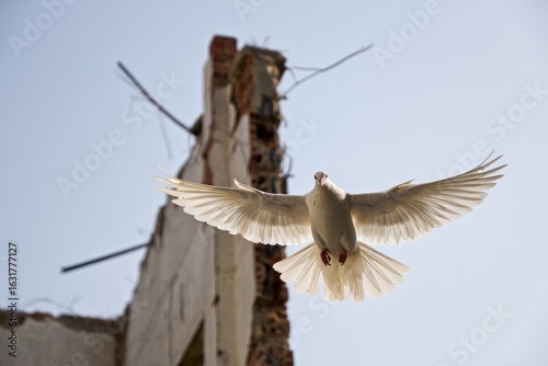 A dove flies toward the sky, a poignant symbol of hope above the ruins