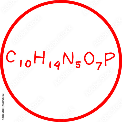 Hand-drawn red molecular formula "C10H14N5O7P" inside a bold red circle on white background, symbolizing a scientific or biochemical compound concept.
