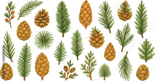 Watercolor Pine Cones and Fir Branches Clipart Set