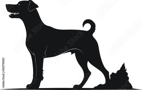 A silhouette vector illustration of a black and white dog
