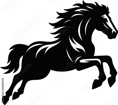 A Black Horse