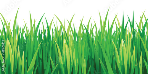 Green grass illustration for spring designs and nature backgrounds vector graphic art
