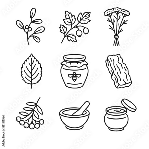 Celtic Herbal Icons. Line style icons of Celtic Herbal Lore: mistletoe sprig, hawthorn branch, yarrow bundle, nettle leaf, mead