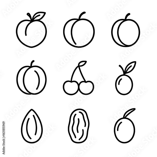 Stone Fruits Icons. Line style icons of Stone Fruits Variety: peach, nectarine, plum, apricot, cherry pair, sloe berry, almond