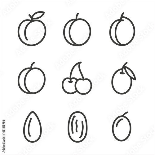 Stone Fruits Icons. Line style icons of Stone Fruits Variety: peach, nectarine, plum, apricot, cherry pair, sloe berry, almond