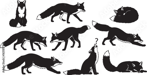 Black foxes in various poses animal wildlife, fox, foxes, animal, wildlife, silhouette, black, white, sitting, walking, sleeping, stretching, howling, question mark, nature, illustration, graphic, des