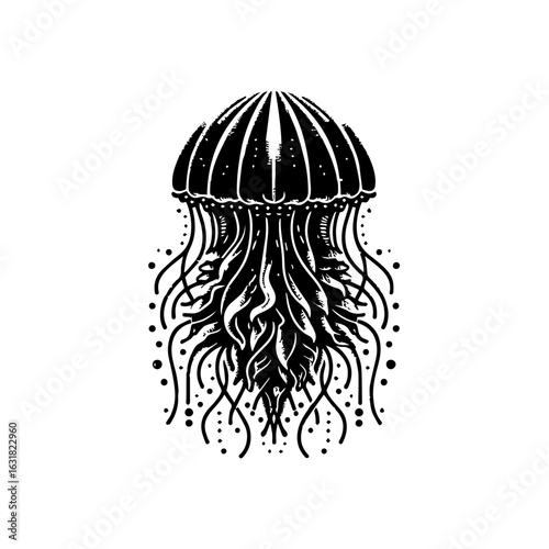 Illustration of a jellyfish isolated on white background in black and white