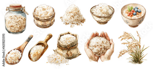 Rice porridge with berries. Watercolor grains in bowl, bag, wooden spoon, scoop, hands. Rice pile, ears vector set isolated