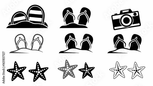 Illustration showing various summer vacation themed icons including flip flops starfish and a camera on white background silhouette