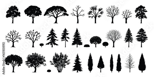Whimsical tree doodle icon set featuring hand-drawn black and white sketches of apple, palm, pine, willow, bamboo, maple, oak, and cypress trees. Cute cartoon-style illustrations perfect for nature, f