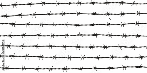 Multiple rows of barbed wire against a white background