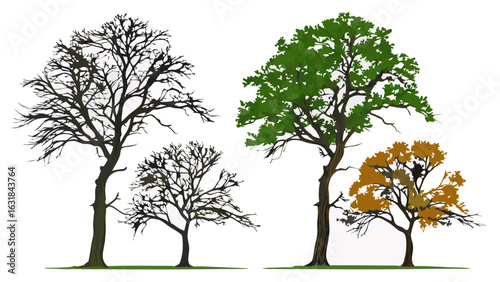 Stylized Trees Depicting Different Seasons and Foliage Variations.