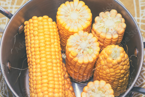 Fotografie Pot filled with vibrant yellow corn, some halved, sits ready for boiling