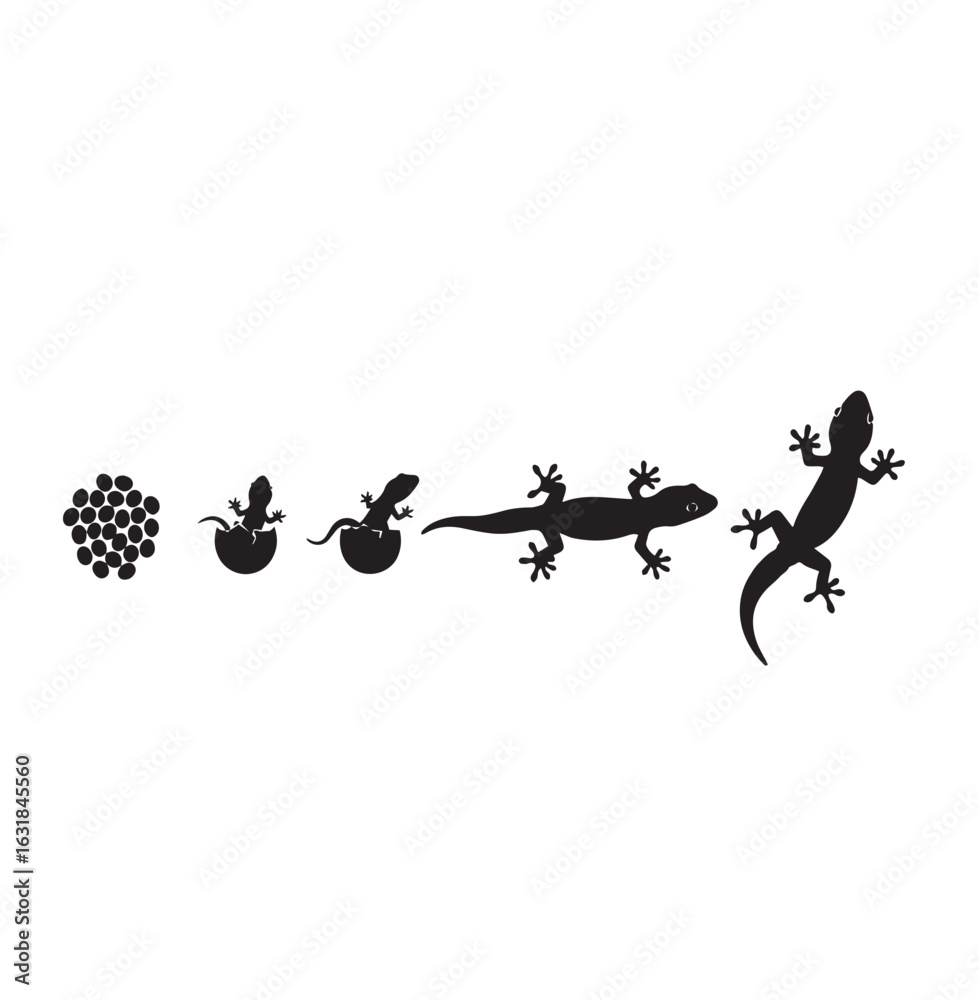 Naklejka premium Gecko silhouette
