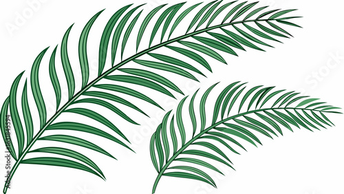 Two Tropical Palm Fronds in Vibrant Green.