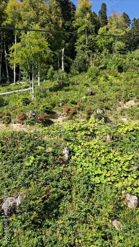 Mountains, forest, nature in Krasnaya Polyana, Sochi, shot from a quadrocopter