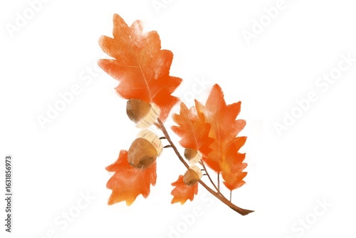 Watercolor illustration of oak and acron leaves. autumn maple leaf